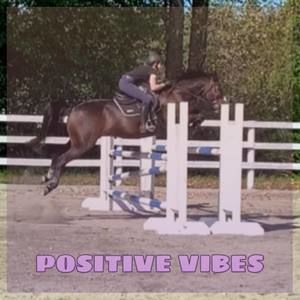 Meet your Posher, Cassie